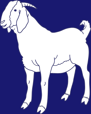 Rooster Logo